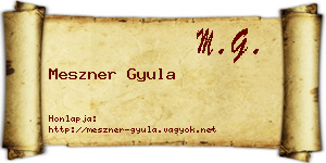 Meszner Gyula névjegykártya